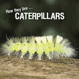 How they live... Caterpillars -  Ivan Esenko,  David Withrington