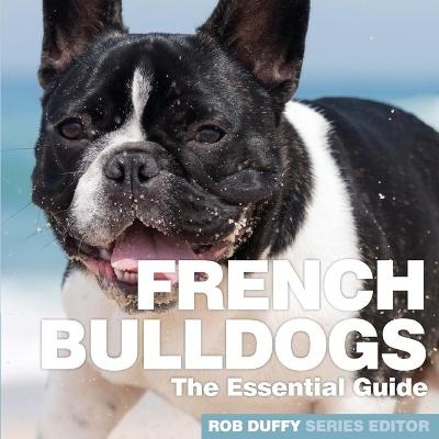 French Bulldogs - 